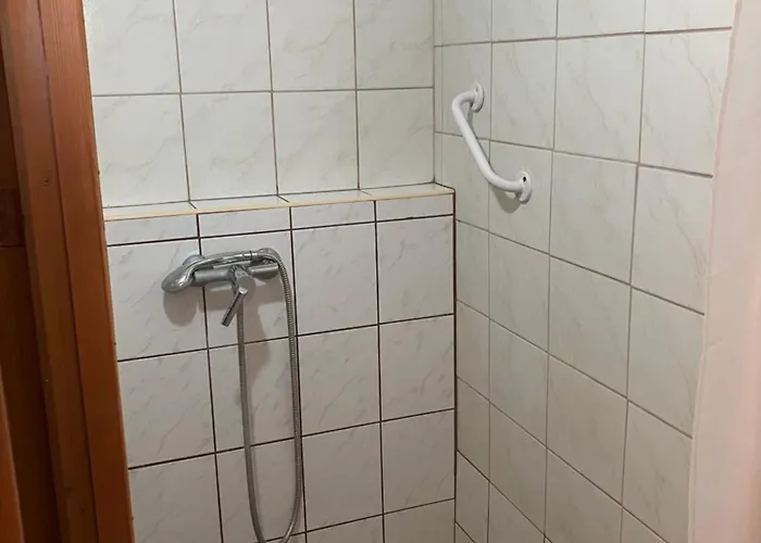 Tuja Vendeghaz Lajoskomárom